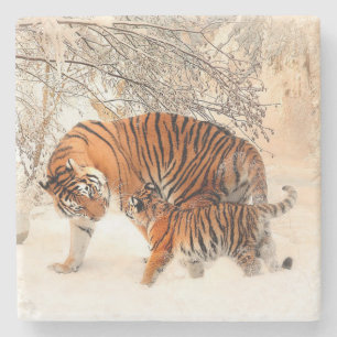 Tigers Steinuntersetzer