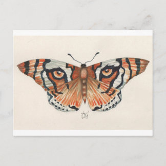 Tigerschmetterling Postkarte