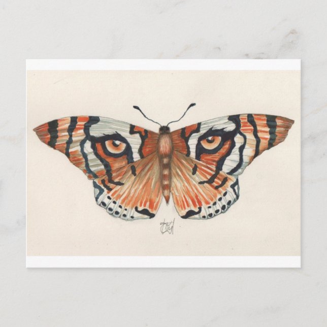 Tigerschmetterling Postkarte (Vorderseite)