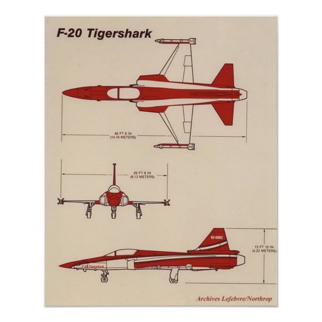 Tigershark F20 Poster (Vorderseite)