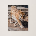 Tigersprung Puzzle<br><div class="desc">Schönes Tigerfoto perfekt für ein Puzzle</div>