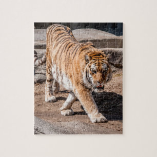 Tigersprung Puzzle