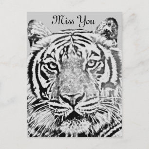 Tigerstärke_ Postkarte
