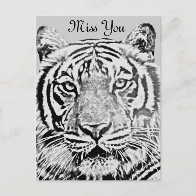 Tigerstärke_ Postkarte (Vorderseite)