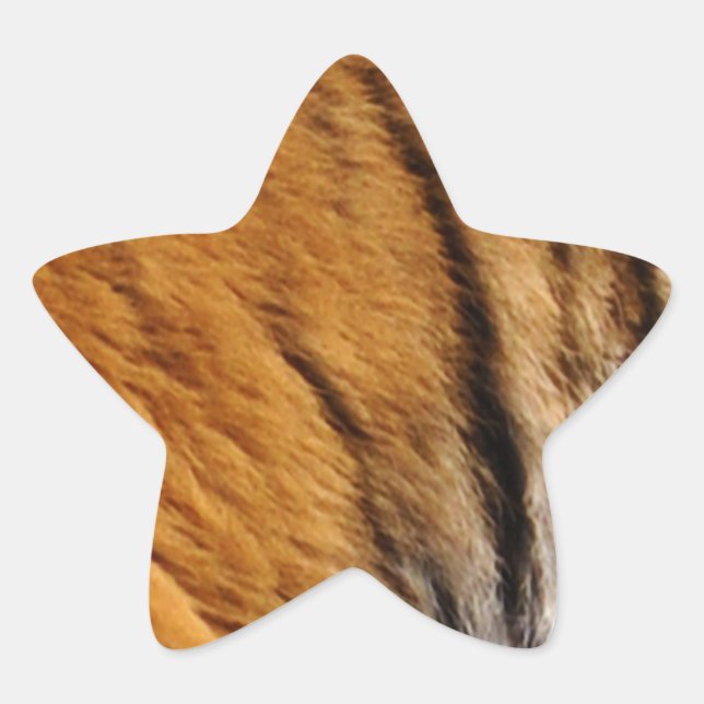 Tigerstreifen mit Fotos, die von den Großen Katzen Stern-Aufkleber (Vorderseite)