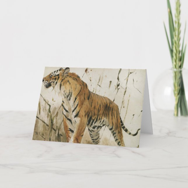 Tigerstudie | Wilhelm Kuhnert Karte (Vorderseite)