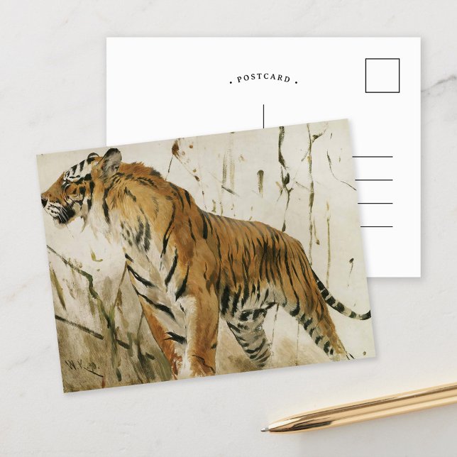Tigerstudie | Wilhelm Kuhnert Postkarte (Von Creator hochgeladen)