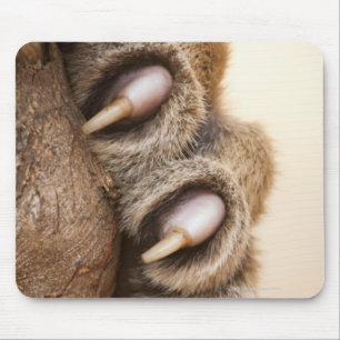 Tigertatze Mousepad