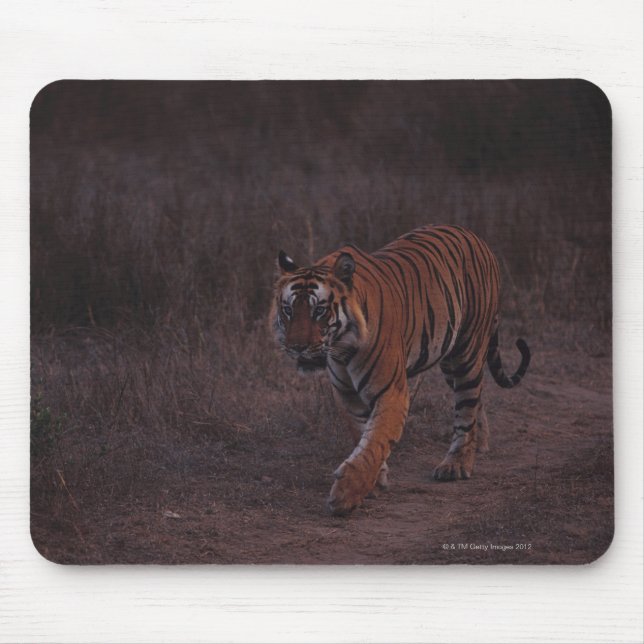Tigerwanderungen auf dem Weg Mousepad (Vorne)