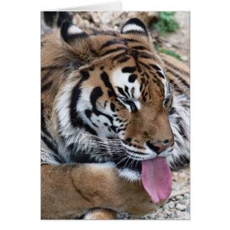 Tigerzunge