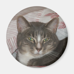 Tigger Magnet