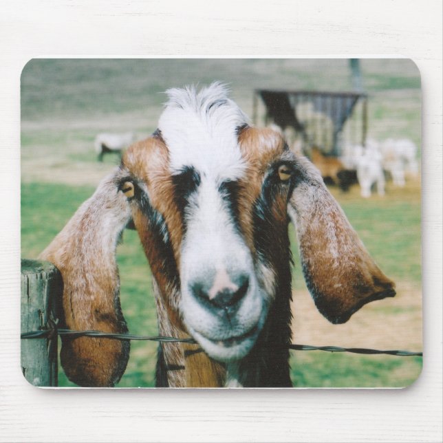 tigger mousepad (Vorne)