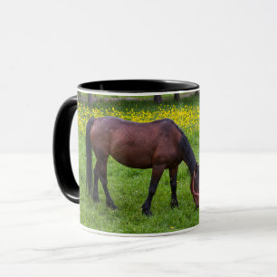 Tihuta Pass, Horse in Pasture Tasse
