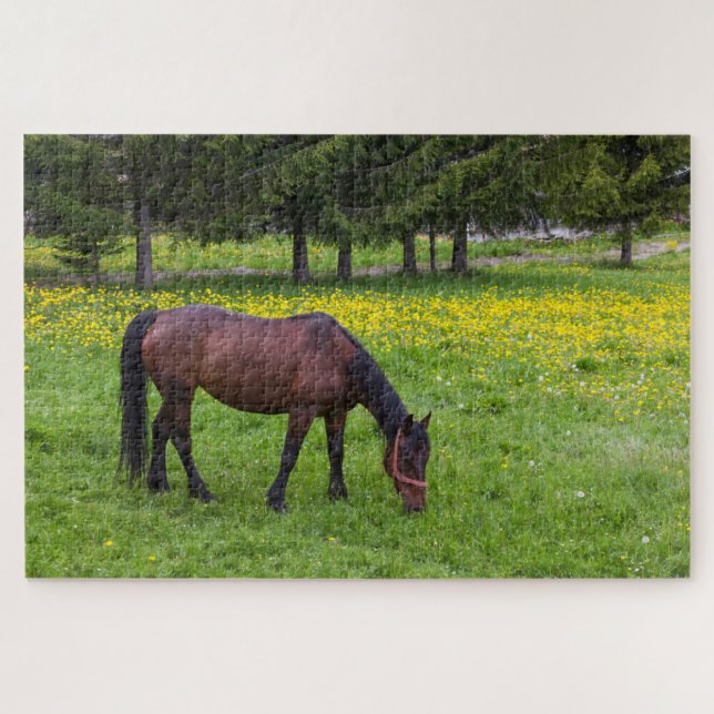 Tihuta-Pass, Pferd auf der Weide Puzzle (Horizontal)