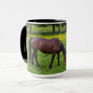 Tihuta-Pass, Pferd auf der Weide Tasse