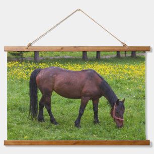 Tihuta-Pass, Pferd auf der Weide Wandteppich Mit Holzrahmen
