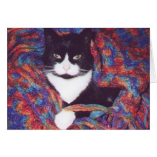 "Tiki auf Dougs Afghanen "