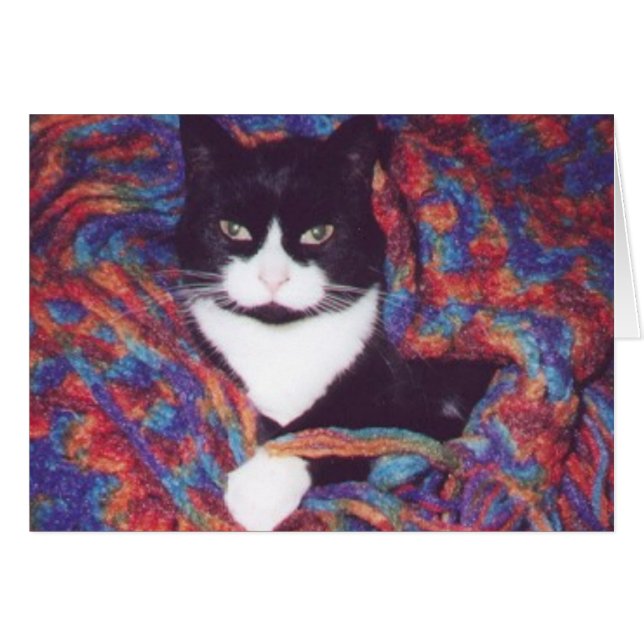 "Tiki in Dougs Afghanisch" (Vorderseite (Horizontal))