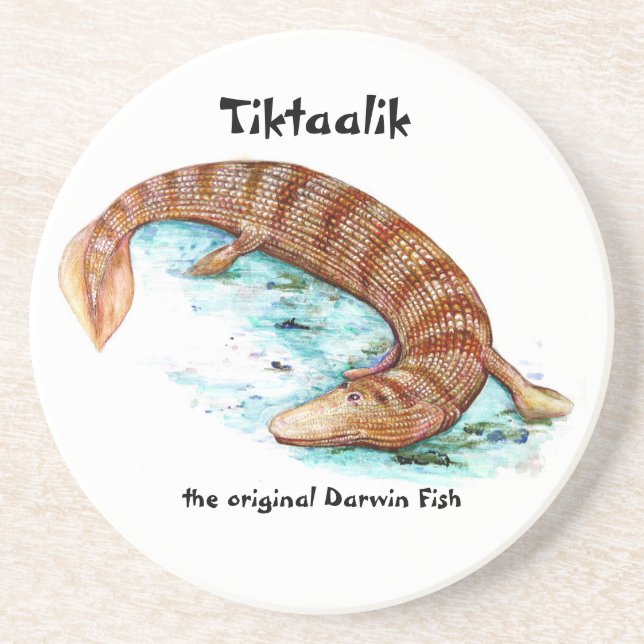 Tiktaalik Untersetzer (Vorne)