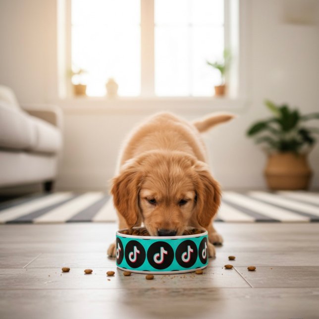 TikTok Bowl Napf (Von Creator hochgeladen)