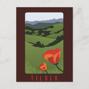 Tilden Regional Park Postcard Postkarte