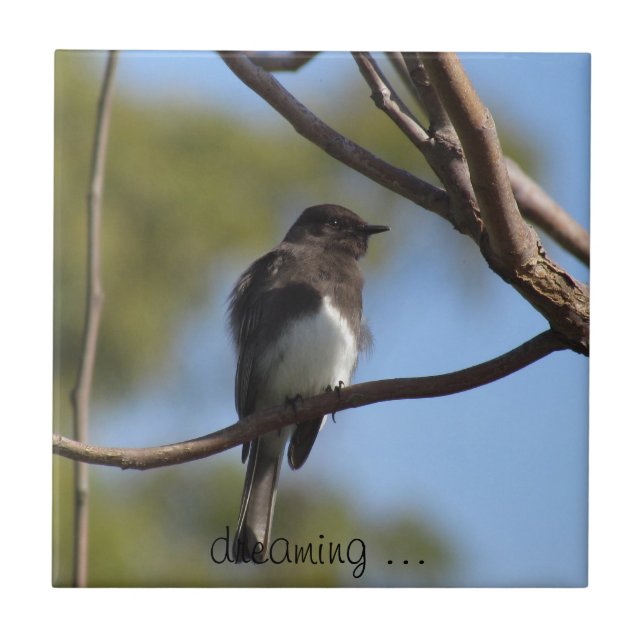 Tile - Flycatcher Fliese (Vorderseite)