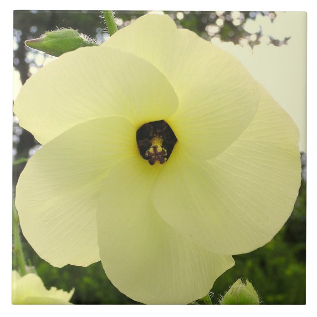 TILE, GROSSE BLEIBENDE "PINWHEED"-BLUME FLIESE (Vorderseite)