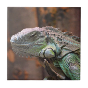 Tile mit farbiger Iguana-Eidechse Fliese