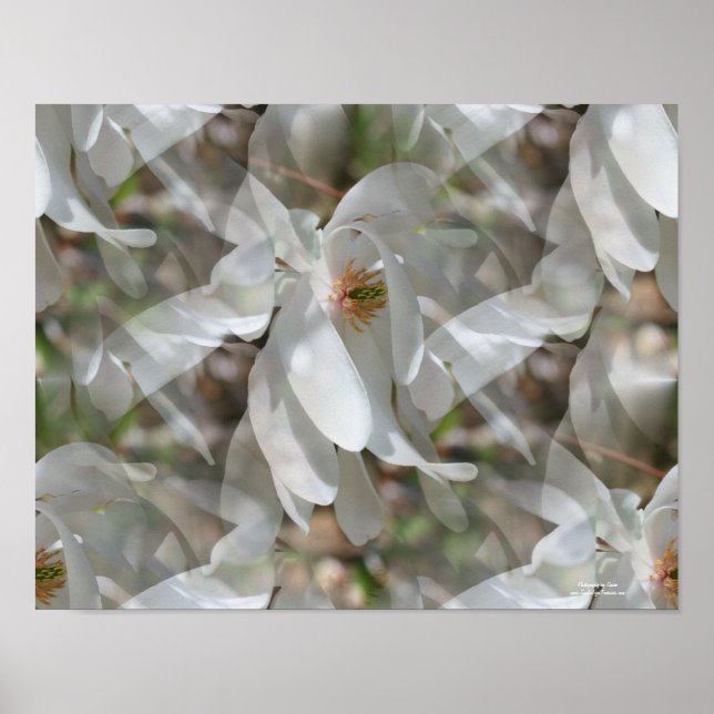 Tiled White Magnolia Floral Print Poster (Vorne)