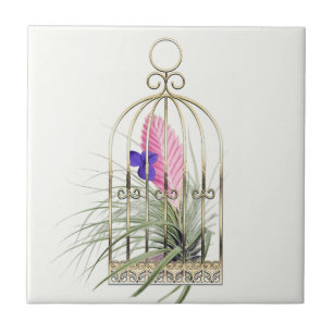 Tillandsia Luftpflanze in Vogelkäfig Keramikfliese