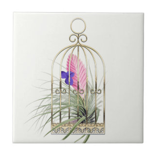 Tillandsia Luftpflanze in Vogelkäfig Keramikfliese