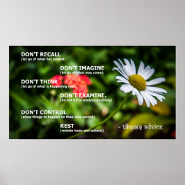 Tilopas Ratgeber Poster