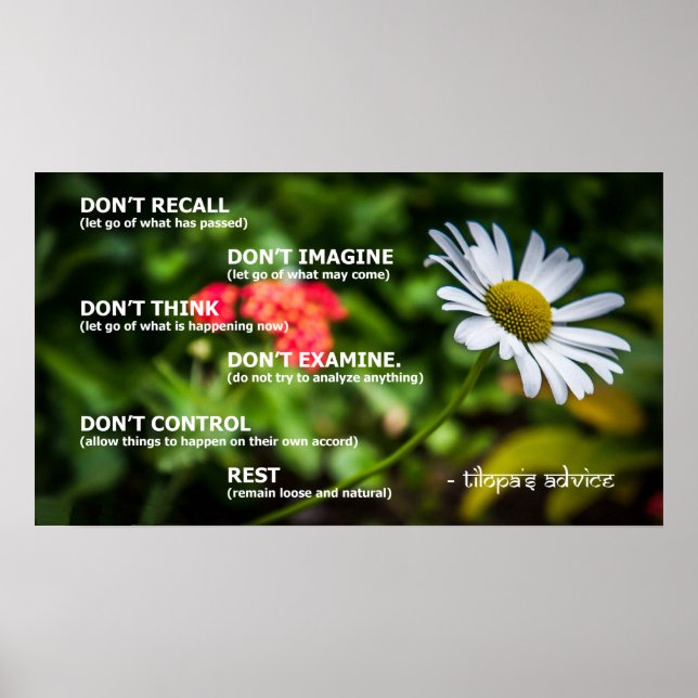 Tilopas Ratgeber Poster (Vorne)