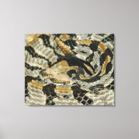 Timber Rattlesnake Coil