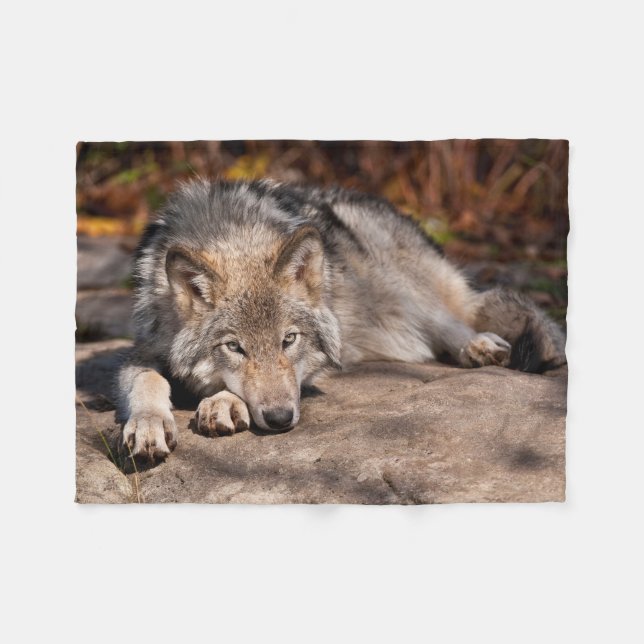 Timber Wolf Fleecedecke (Vorderseite (Horizontal))