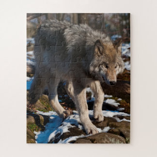 Timber Wolf Jigsaw Puzzle