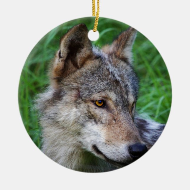 Timber Wolf Keramikornament (Vorne)