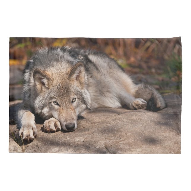 Timber Wolf Kissenbezug (Rückseite)