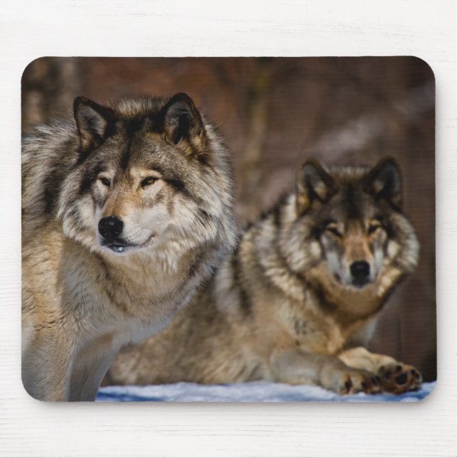 Timber Wolf Mouse Pad Mousepad (Vorne)