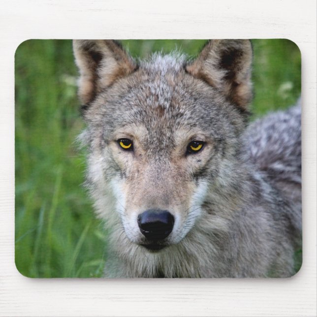Timber Wolf Mouse Pad Mousepad (Vorne)