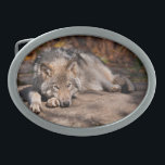 Timber Wolf Ovale Gürtelschnalle<br><div class="desc">Viele Menschen sind von Wölfen fasziniert. Mit diesem Artikel teile ich meine Liebe dieser phantastischen Tiere.</div>