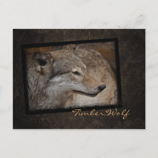Timber Wolf Postkarte