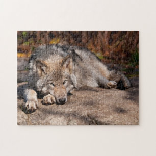 Timber Wolf Puzzle