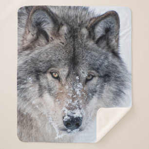 Timber Wolf  Sherpadecke