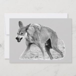 Timber Wolf Snarl