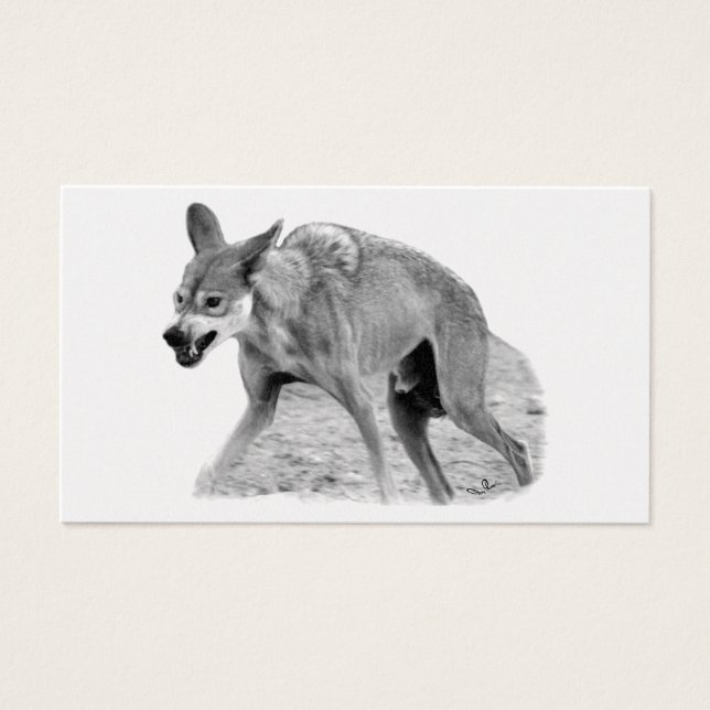 Timber Wolf Snarl (Vorderseite)