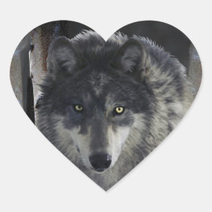 TIMBER WOLF Wildlife Supporter Artwork Herz-Aufkleber