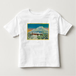 Timberline-Häuschen im Winter an Mt.-Haube Kleinkind T-shirt
