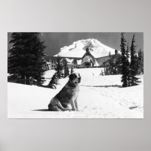 Timberline Lodge und "Lady" die Besitzerin Poster