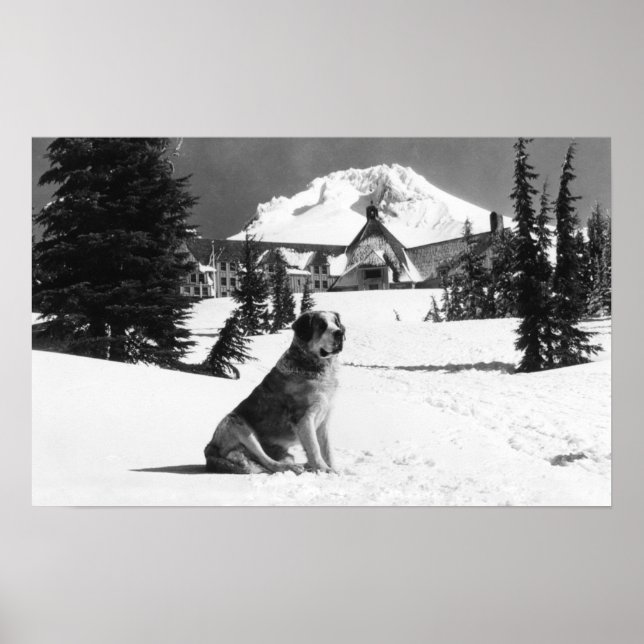 Timberline Lodge und "Lady" die Besitzerin Poster (Vorne)